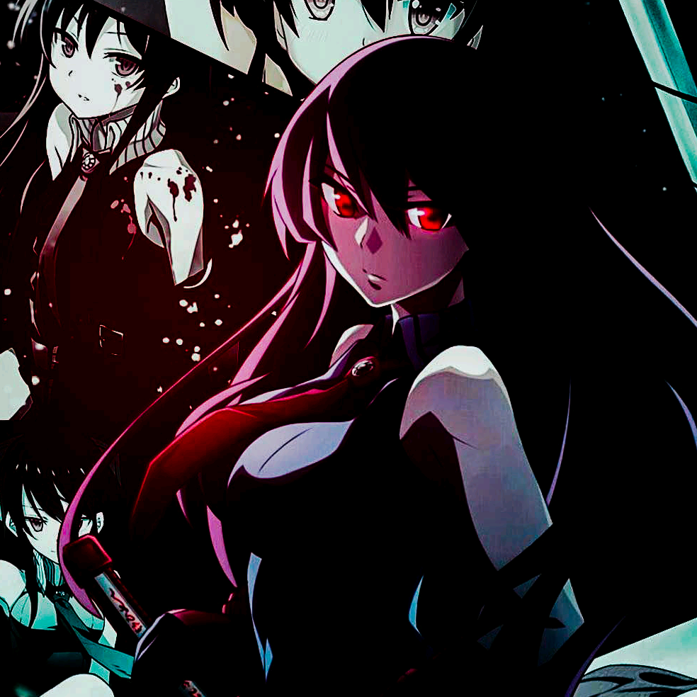 000000 2__akame__2