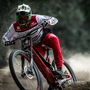 dviz ridefamily5