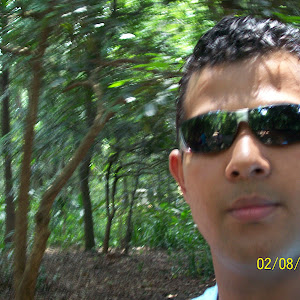 emerson84889 emerson84889