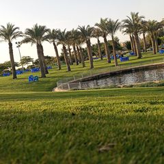 الطيب wleed147