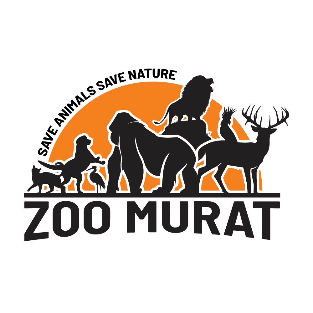 Murat Özden zoomurat