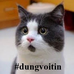 #dungvoitin