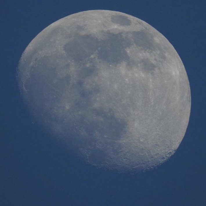 S4M simp4moon