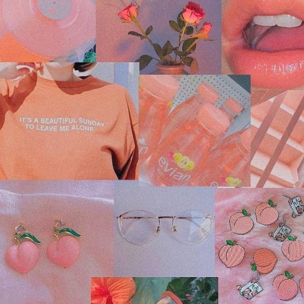 Danigri 🌻 danygri_bff