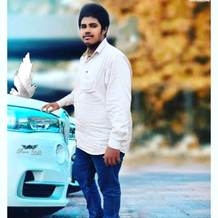 D basha bashapspk2