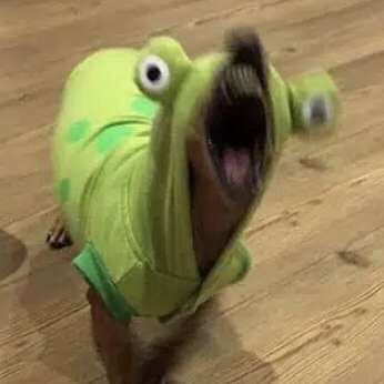 toriii slowsidthesloth
