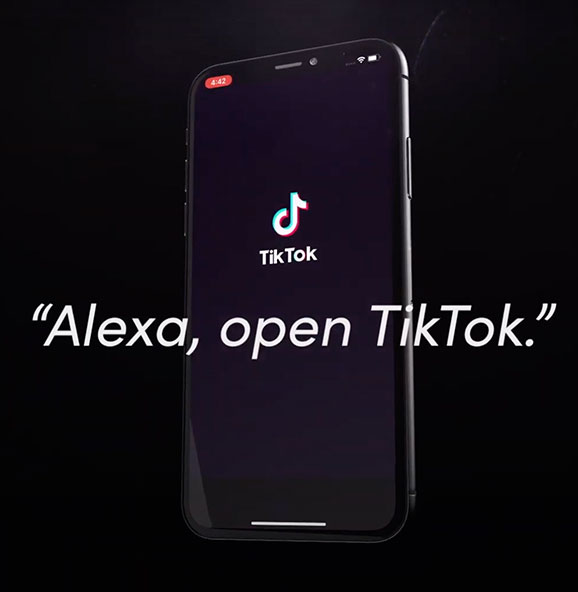  TikTok : Alexa Skills