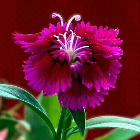 @mali12345678912 usermali12345678912