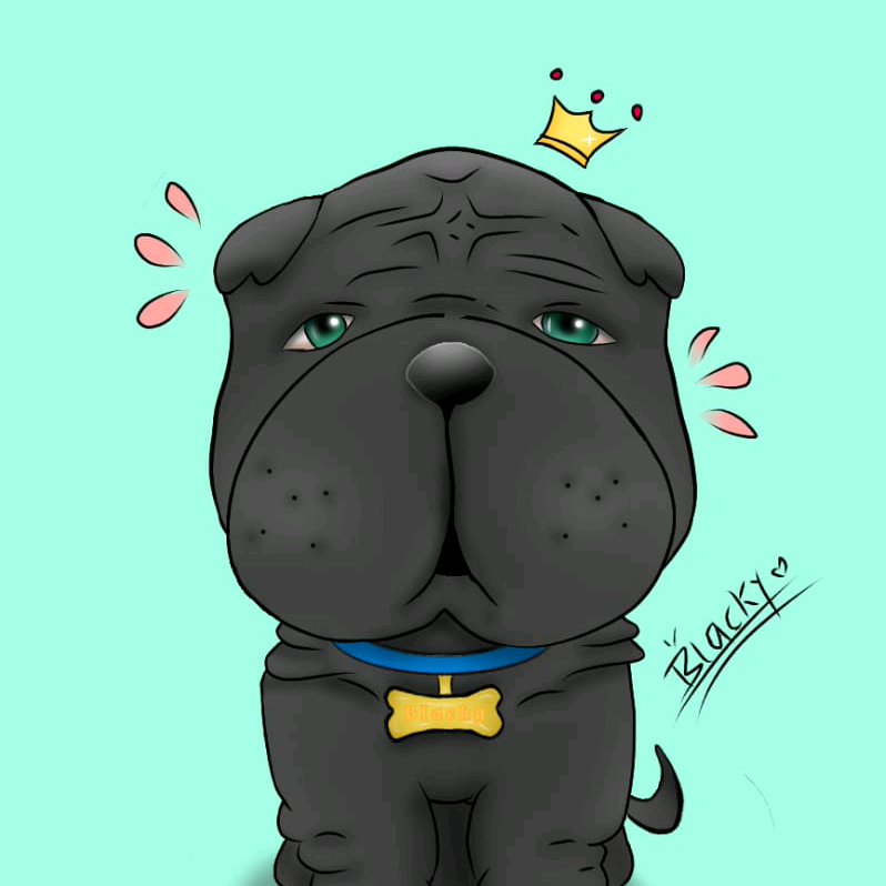 ❤Blacky❤ blacky4120