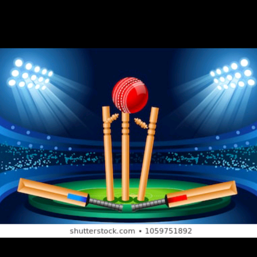Xaini cricketicc3
