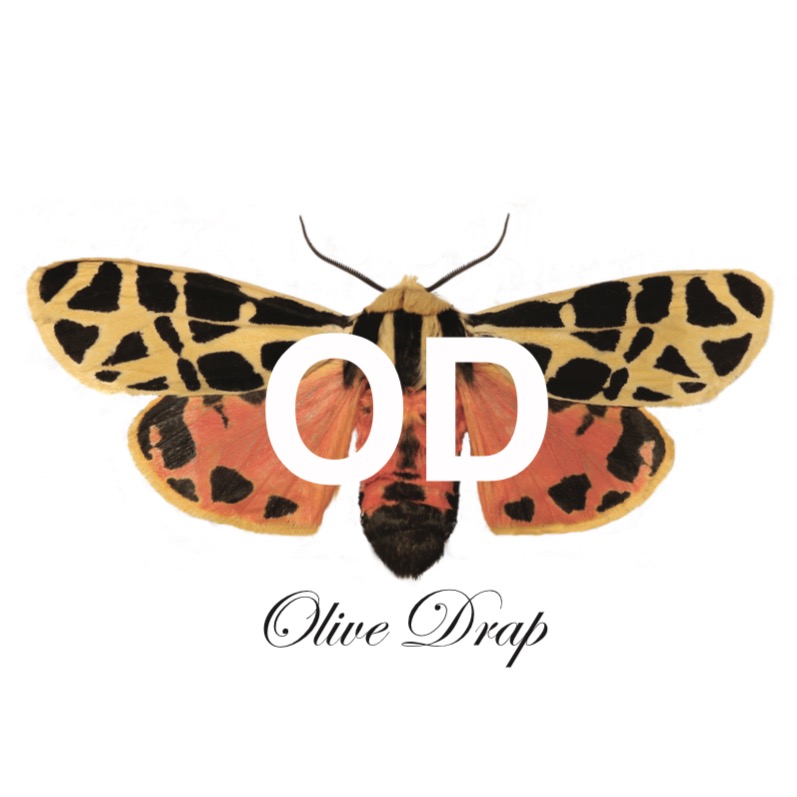 OD olivedrap