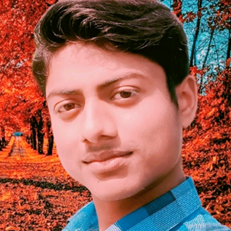 VIKAS VERMA vikasverma5622