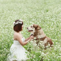Mật Pet Family familymatpet