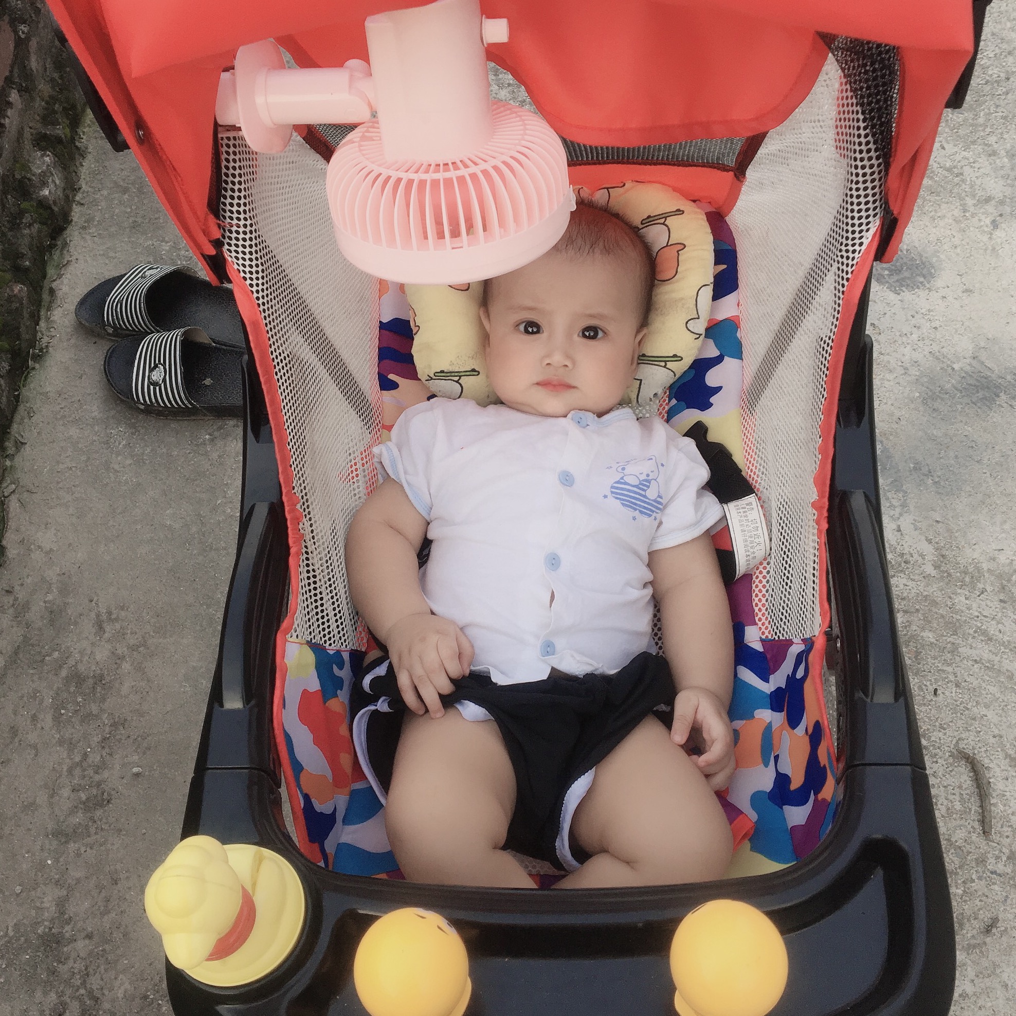 Minhtri19012019 hoaibii99