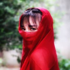 李子柒 cnliziqi