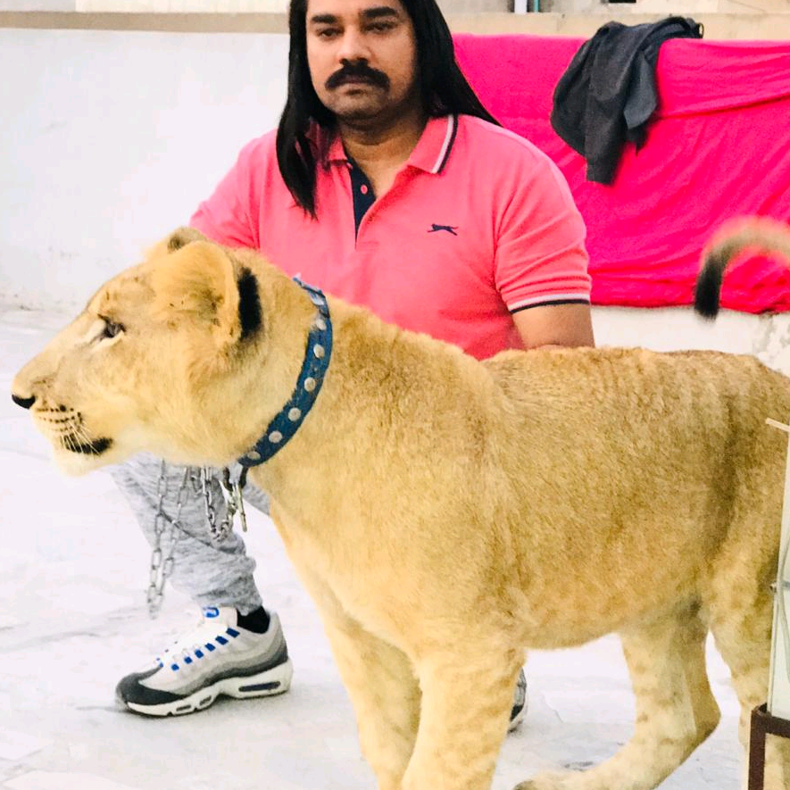 Lion Baloch lionbaloch07