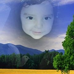 Hamza Raja hamzaraja090