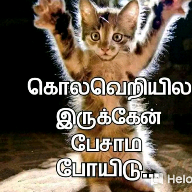 0000000 31862827425