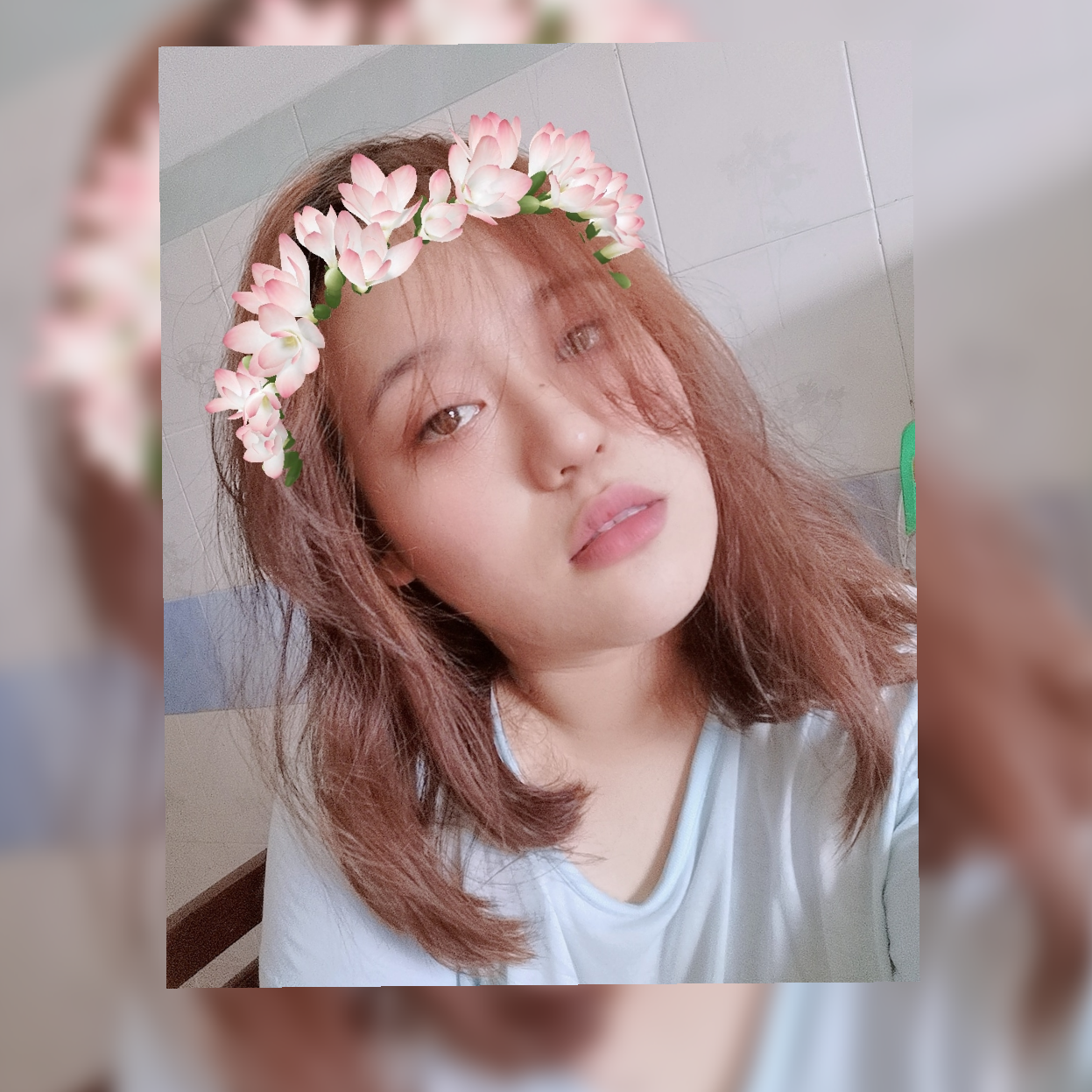 gundut3627 gundut3627