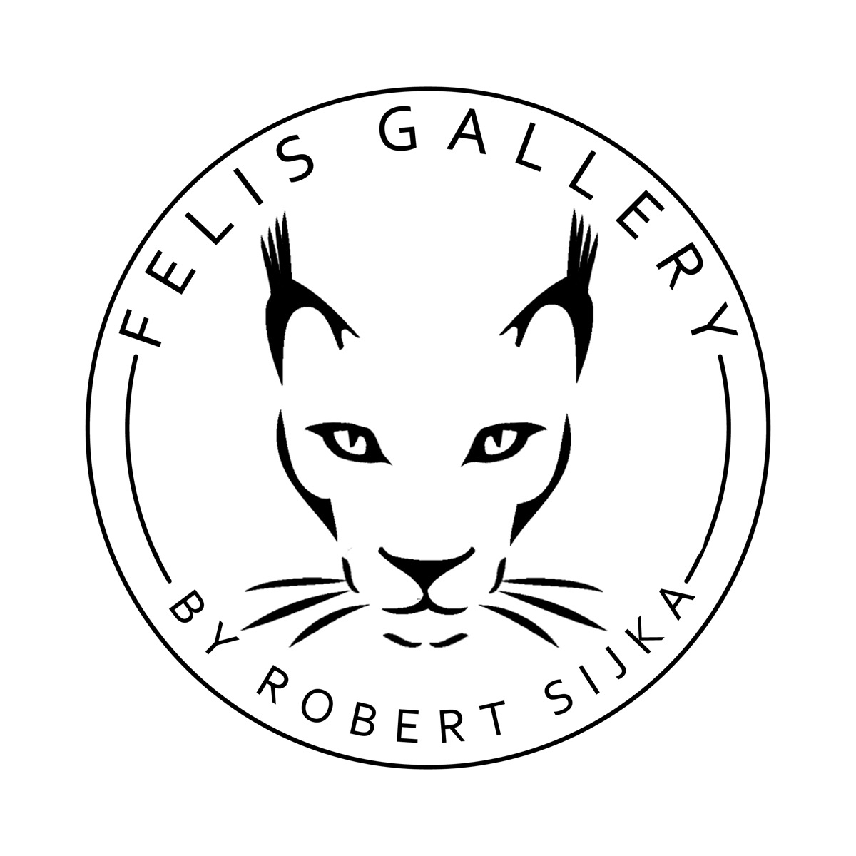 Felis Gallery by Robert Sijka robert_sijka