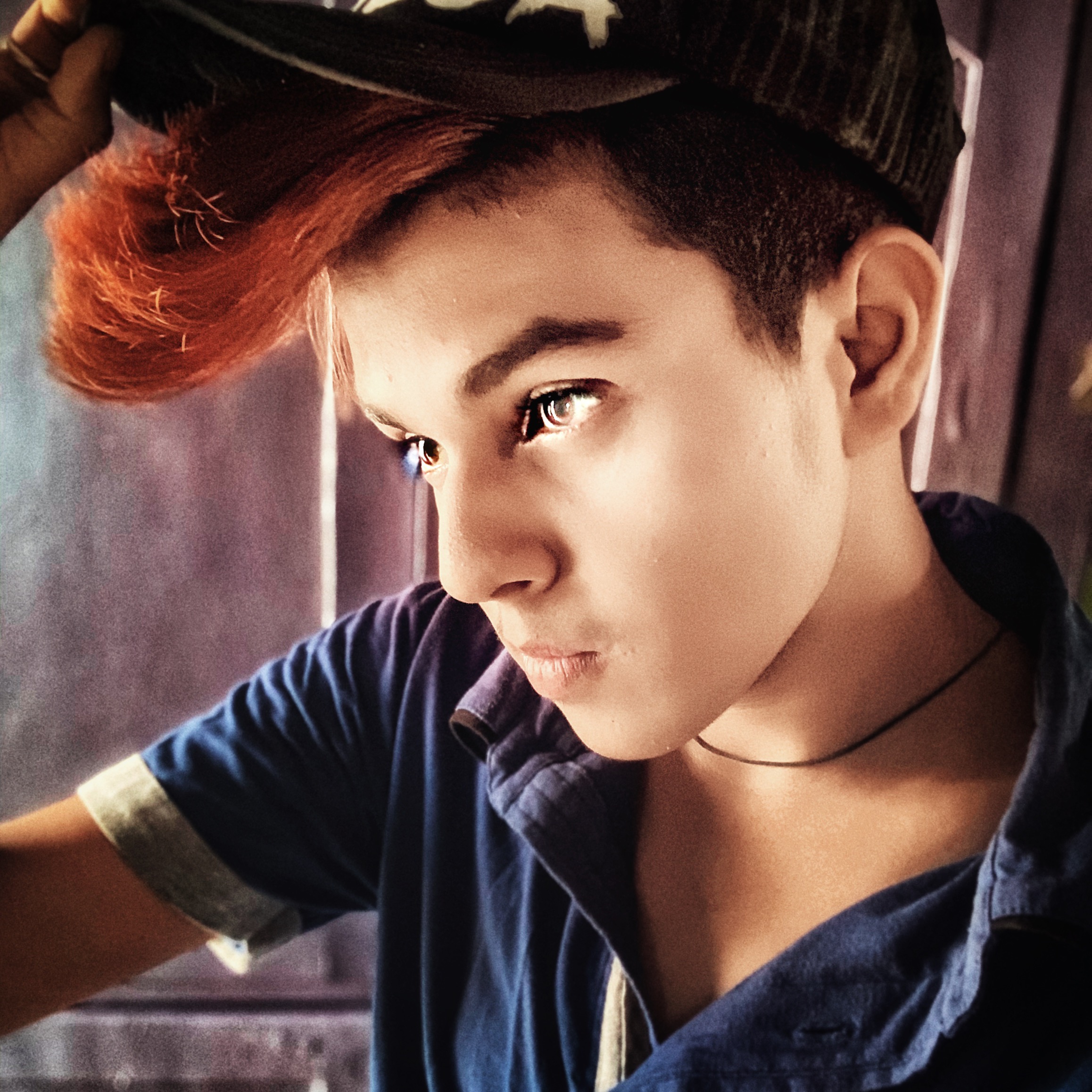 Prince prince_h66