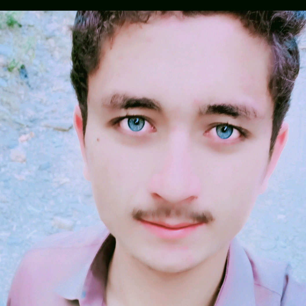 Zia Rahman ziarahman302