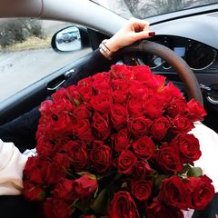 Nour Ghazall nourghazall0