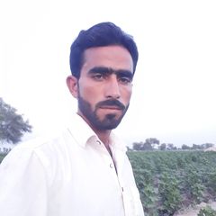 Shah Nawaz user6125345428754shah