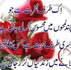@Hanan505 hanannazar5