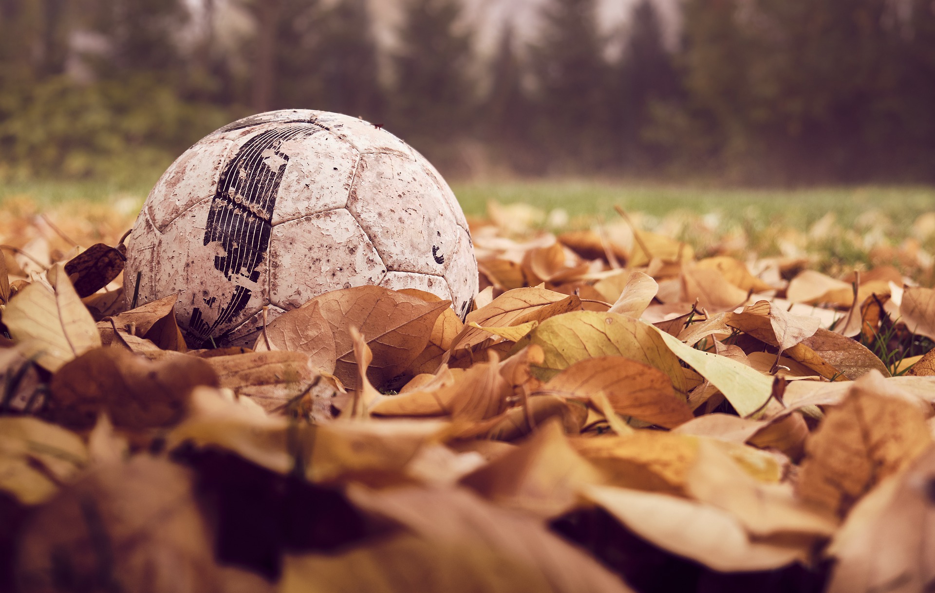 #futbol