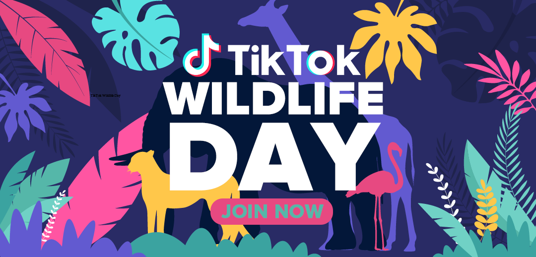 #short videowildlifeday
