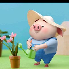 yoonlay33772 yoonlay33772