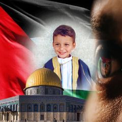 حماد hammad2408