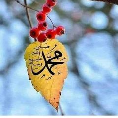 باسيد هه وليرى595 based_surchi