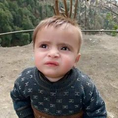 Akhtar Khan aktarpakistan1