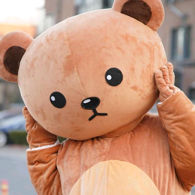 funnybear funnybear77
