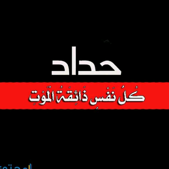 محمود مستر user219vy293f
