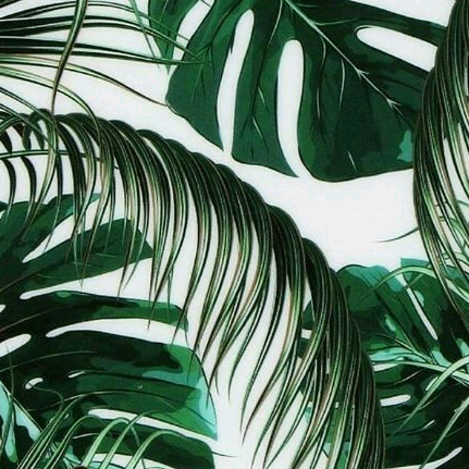 🌷Amerikan POV💞 chabaevsk.al