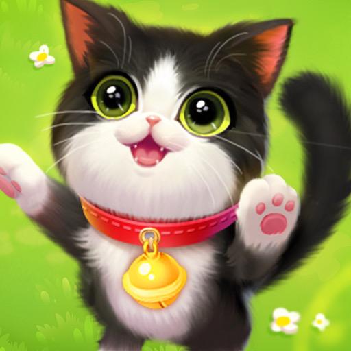 かわいいネコ先生🐱 wowcutecat