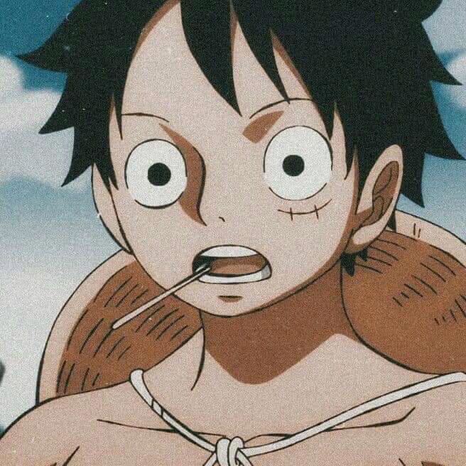 one piece sunisakunwat