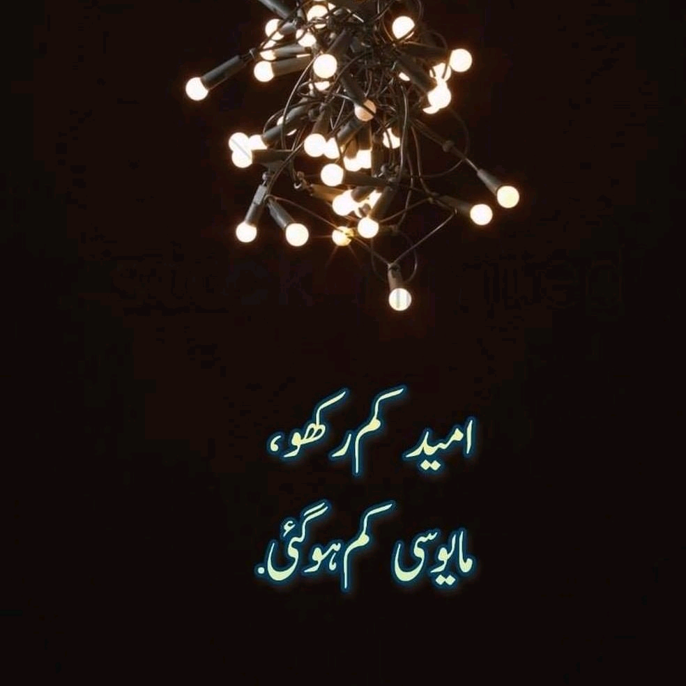 Dr Raees  drraees