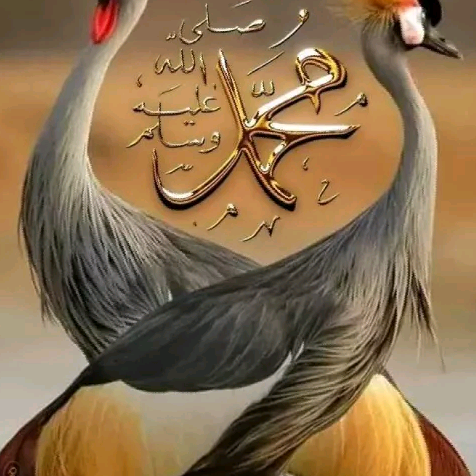 পরোবাসি জীবন মালসিয়া faridkhan7184