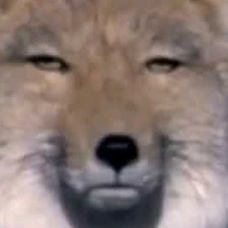 Z1ker z1ker_01