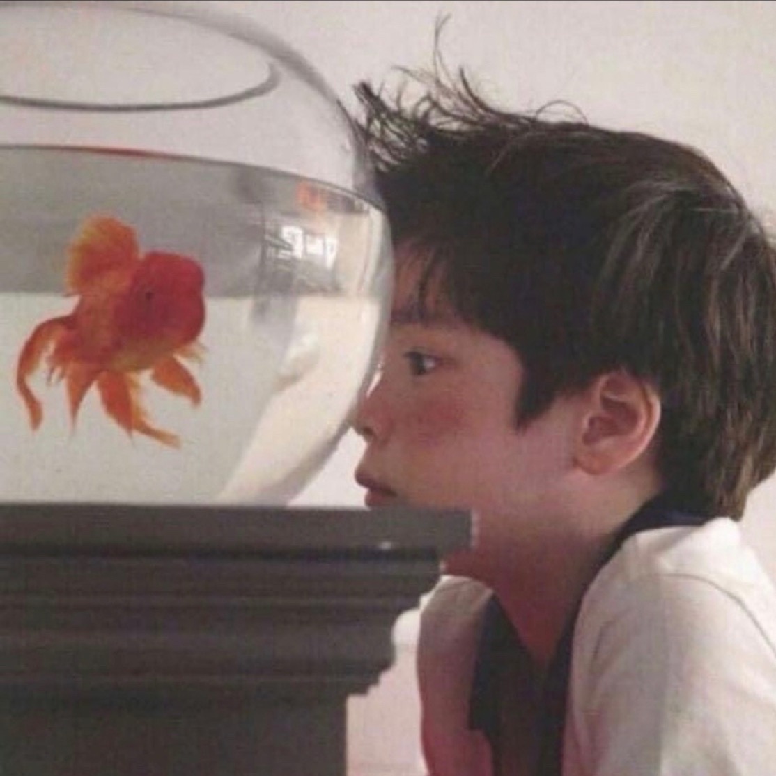 동고니 _dhehdrhs_