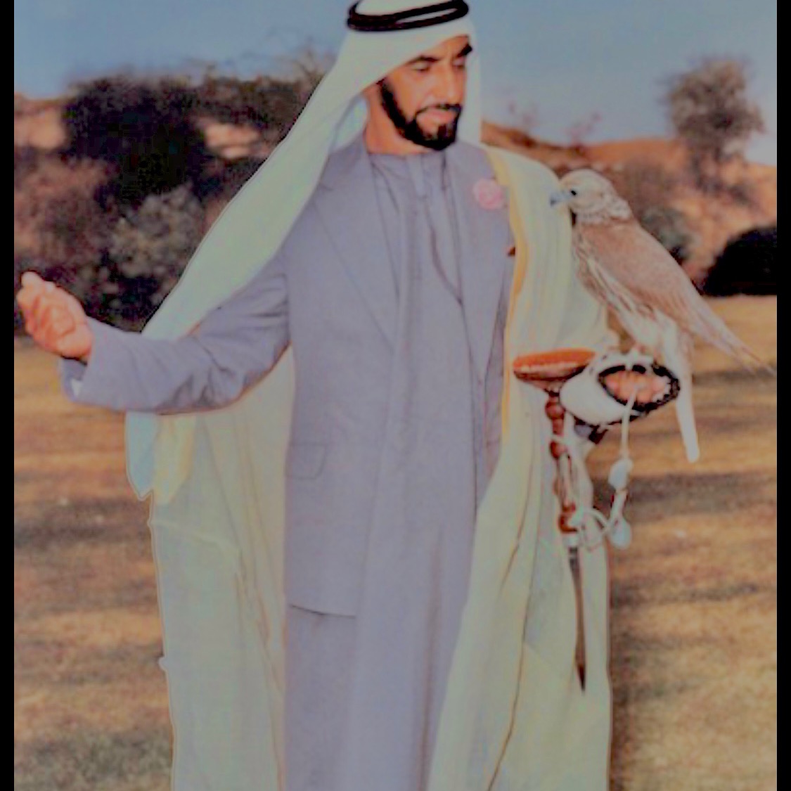 كايد القحطاني kayed10