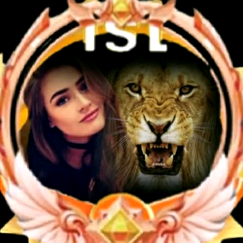 dy2r0t1hrze5 aselasel613