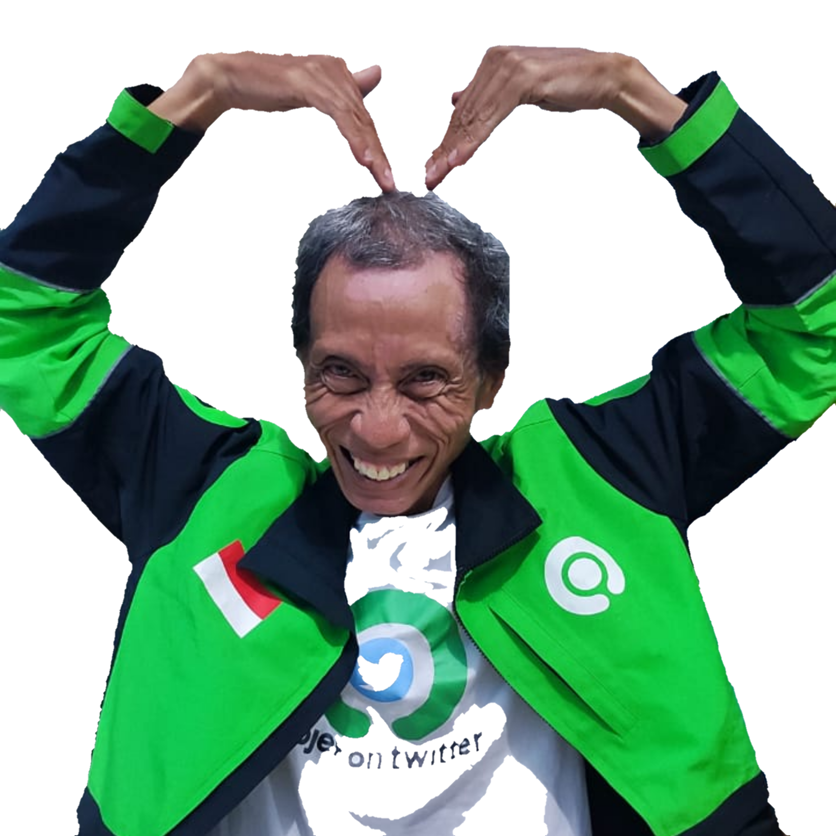 Ary babehojol