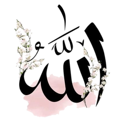 نور الإسلاⓂ islam.light