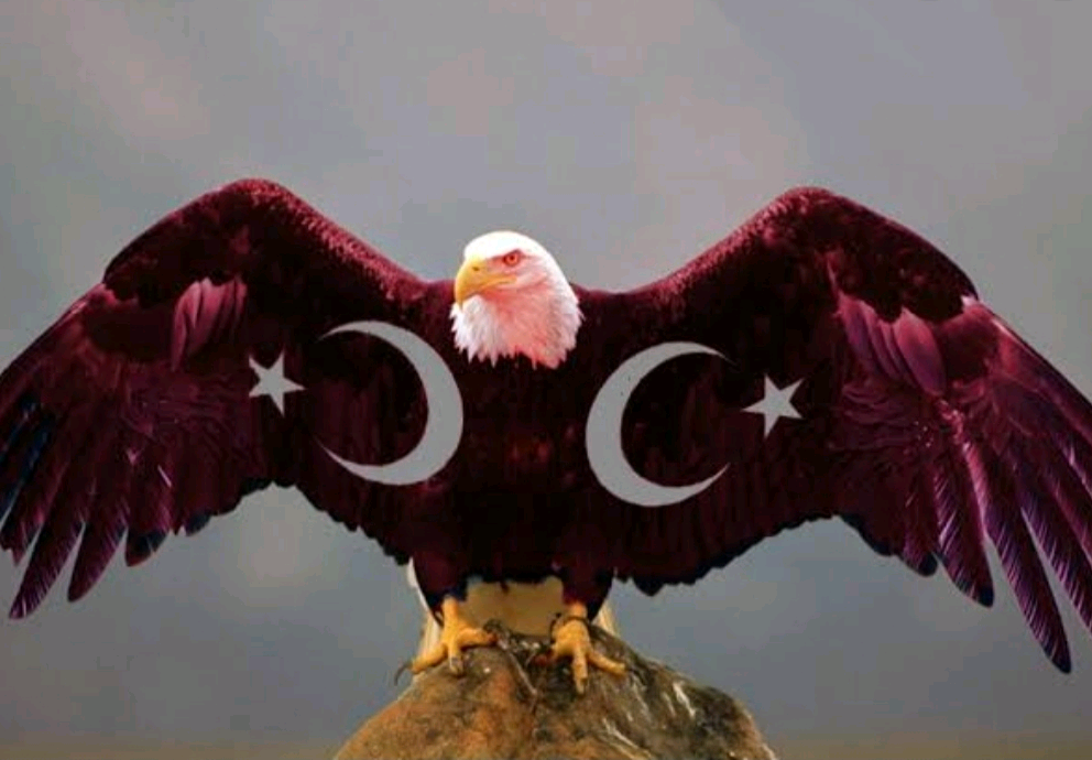 06_gece.kartal_🦅 06_gece.kartal_