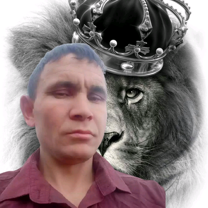 дмитрий  Short Video tiger_pride01